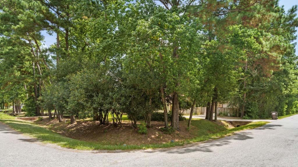 Photo of 402 Fairbanks Drive, Magnolia, TX 77354 (MLS # 59335693)