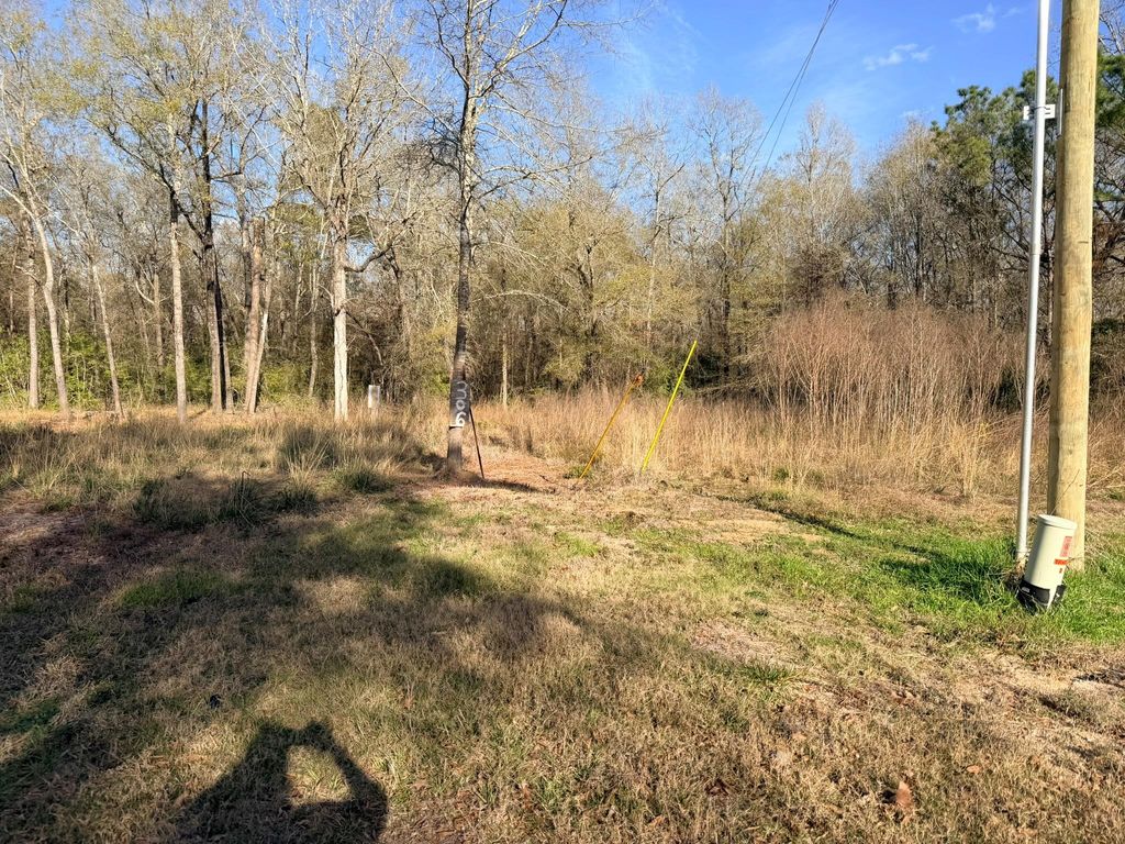 Photo of 306 Indian Oaks, Livingston, TX 77351 (MLS # 84748899)