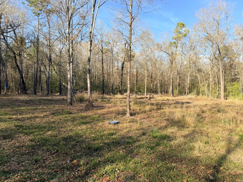 Photo of 306 Indian Oaks, Livingston, TX 77351 (MLS # 84748899)