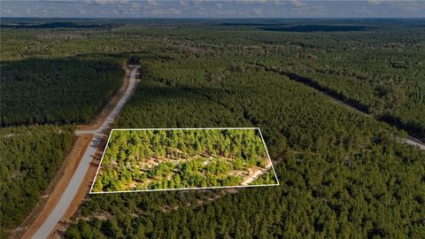 12082 and 12090 Compassion Lane Willis TX 77378