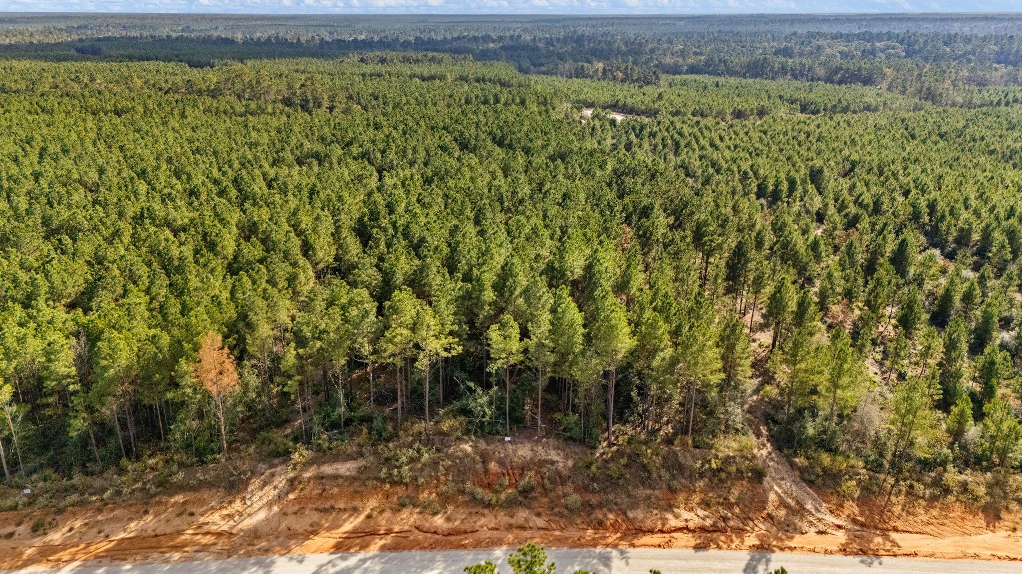 12082 and 12090 Compassion Lane