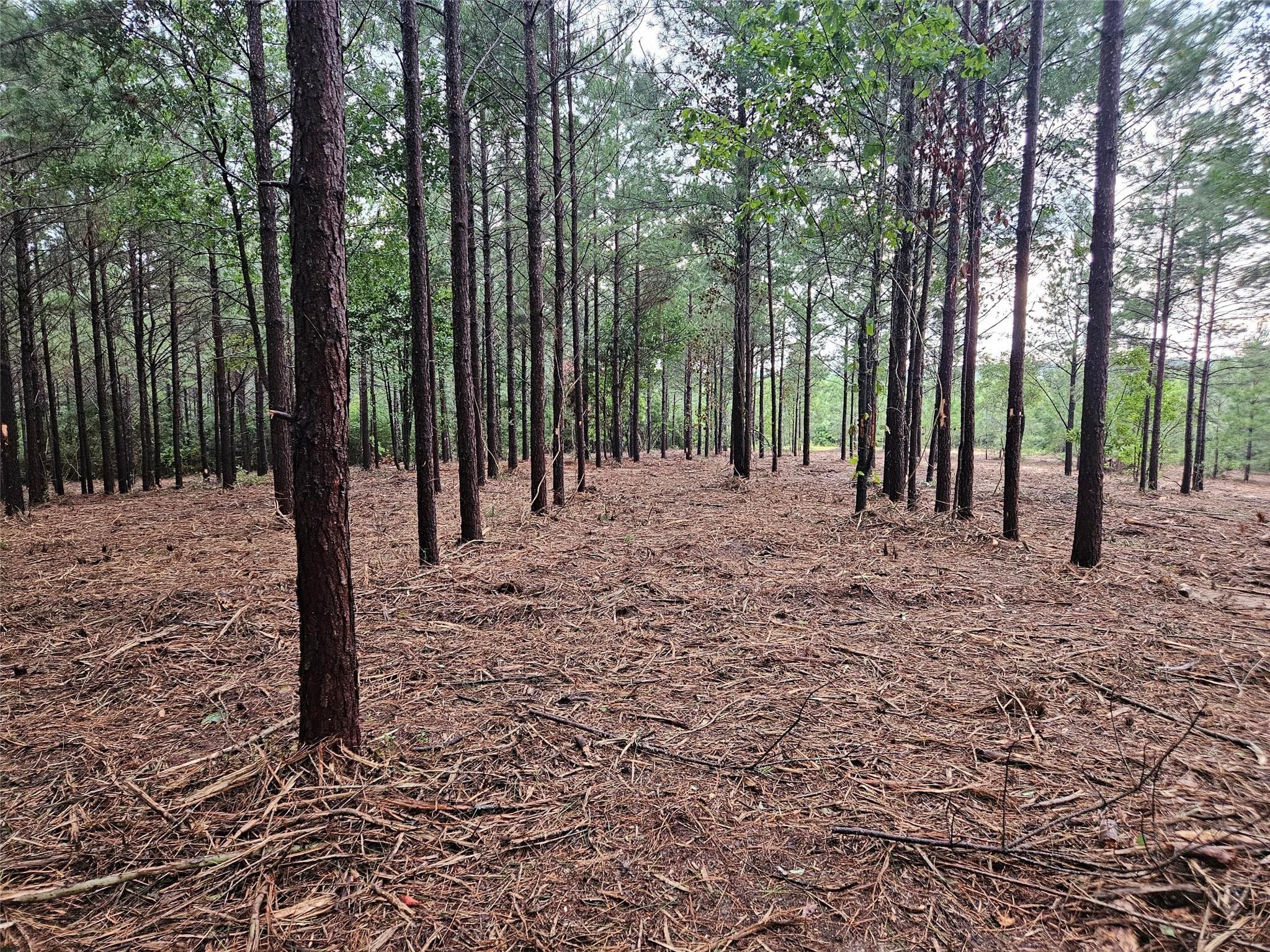 12082 and 12090 Compassion Lane