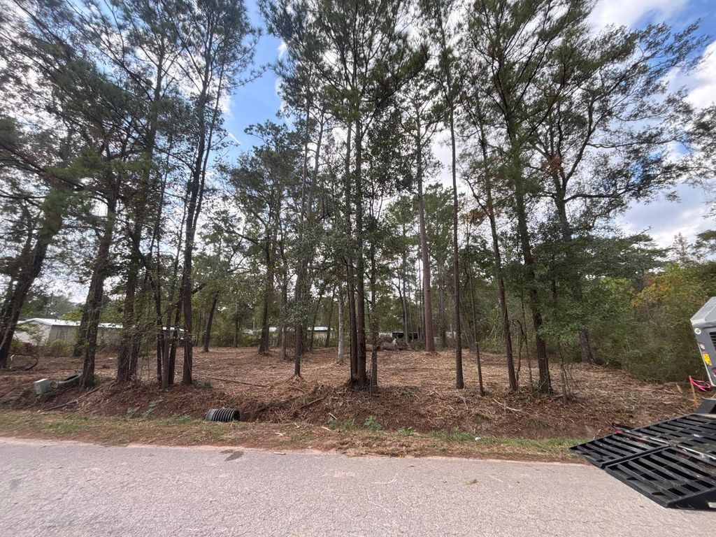 Photo of 20982 S Sabine Dr Dr, New Caney, TX 77357 (MLS # 82519551)