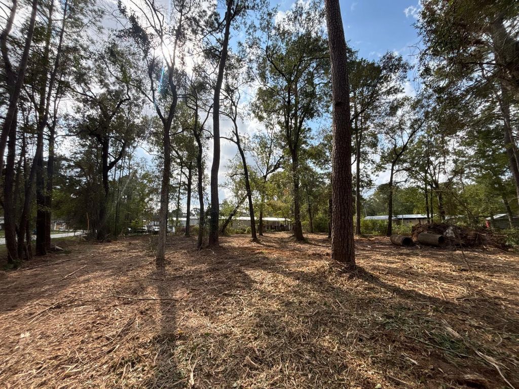 Photo of 20982 S Sabine Dr Dr, New Caney, TX 77357 (MLS # 82519551)