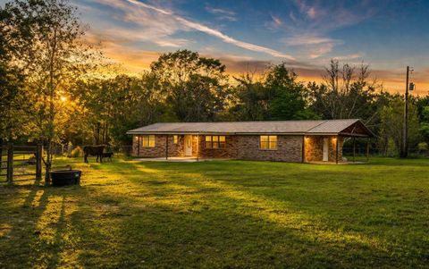 Photo of 317 County Road 4392, Hillister, TX 77624 (MLS # 87916148)