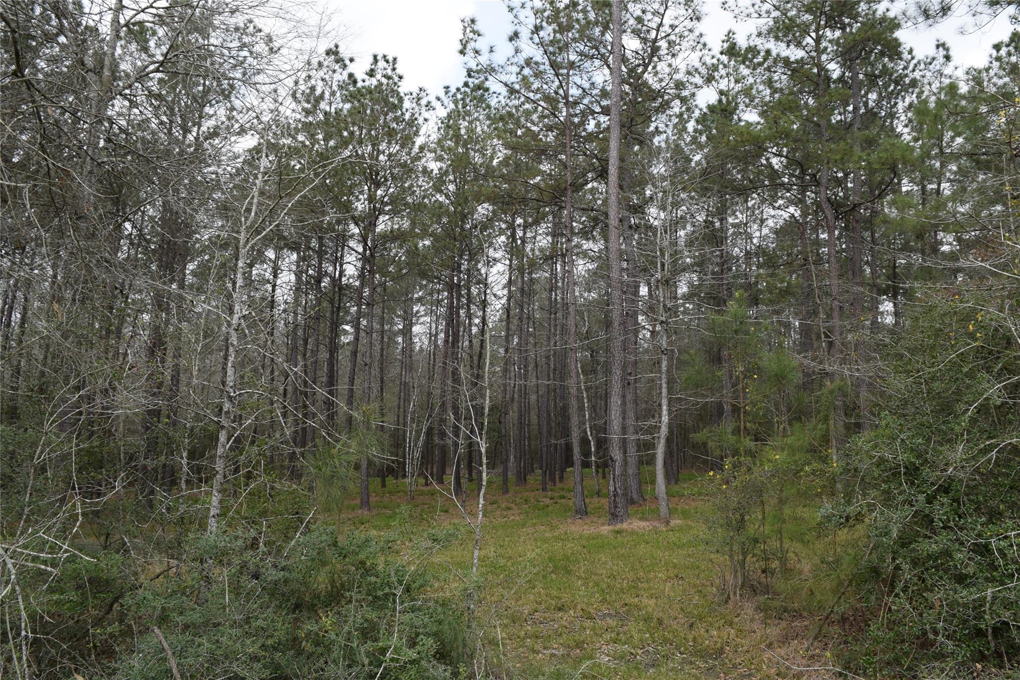 309 Exploration Road