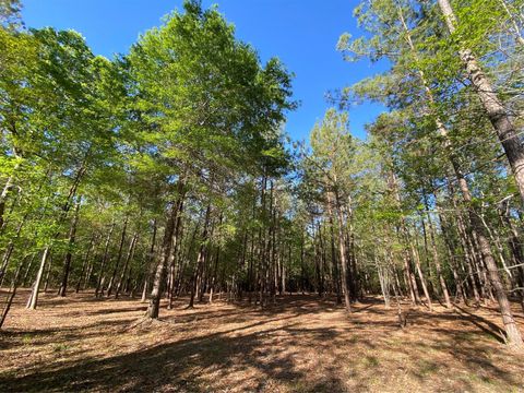 309 Exploration Road Willis TX 77378