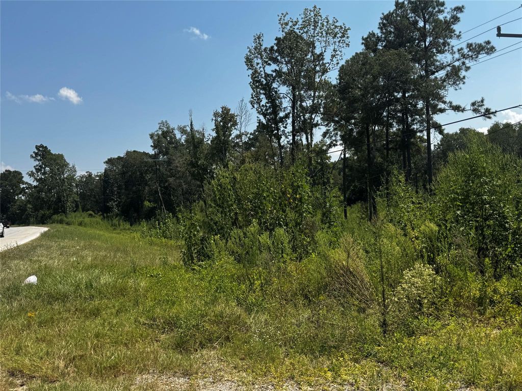Photo of 24562 Fm 1485 Road, New Caney, TX 77357 (MLS # 37349673)