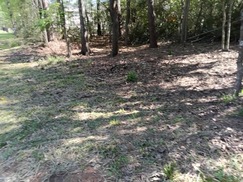 1008 White River Road Conroe TX 77316