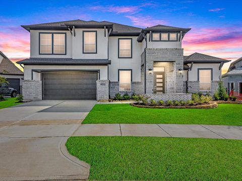 22006 Dahoon Holly Way Cypress TX 77433