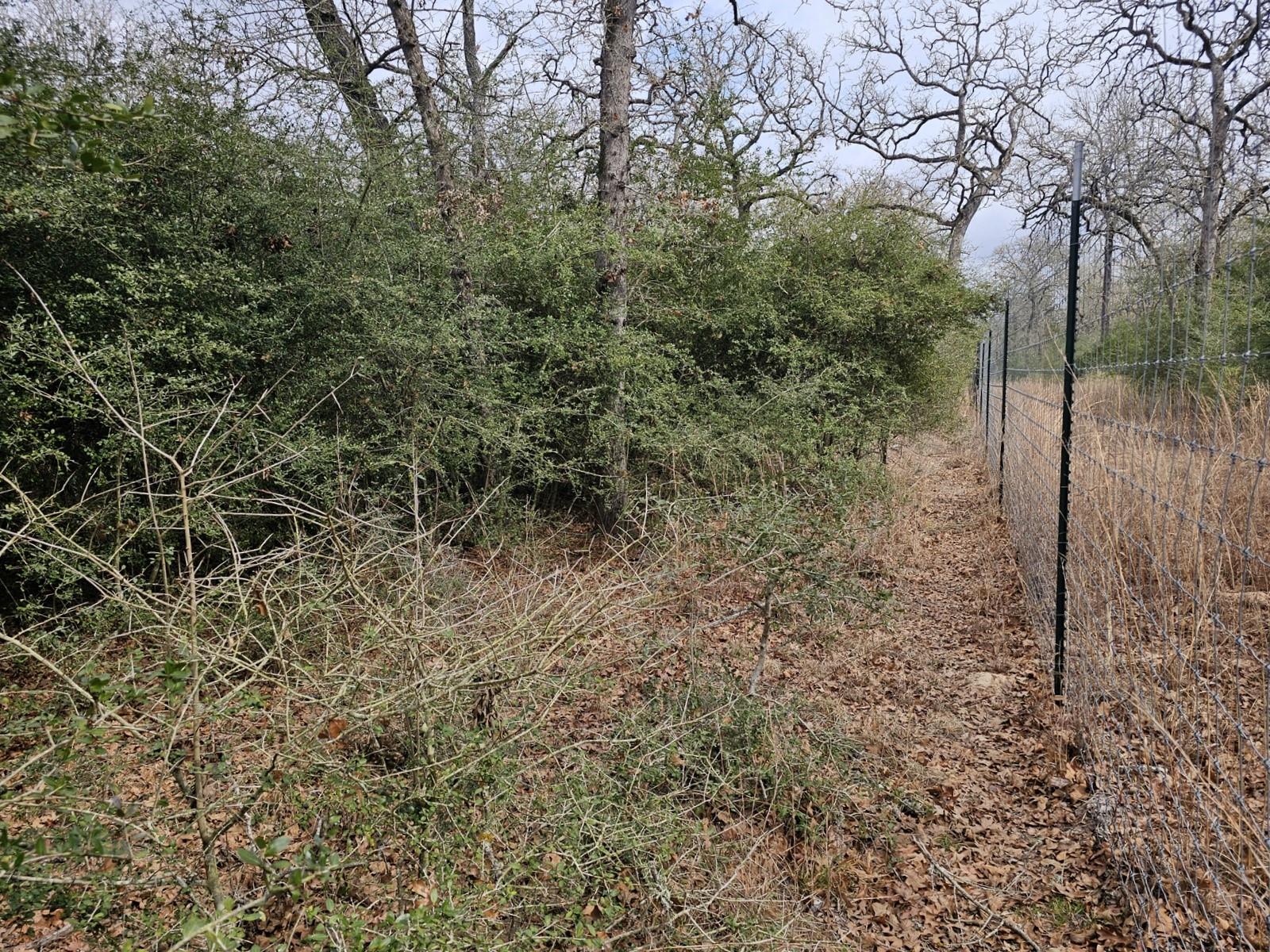 TBD Jackrabbit Lane Lane