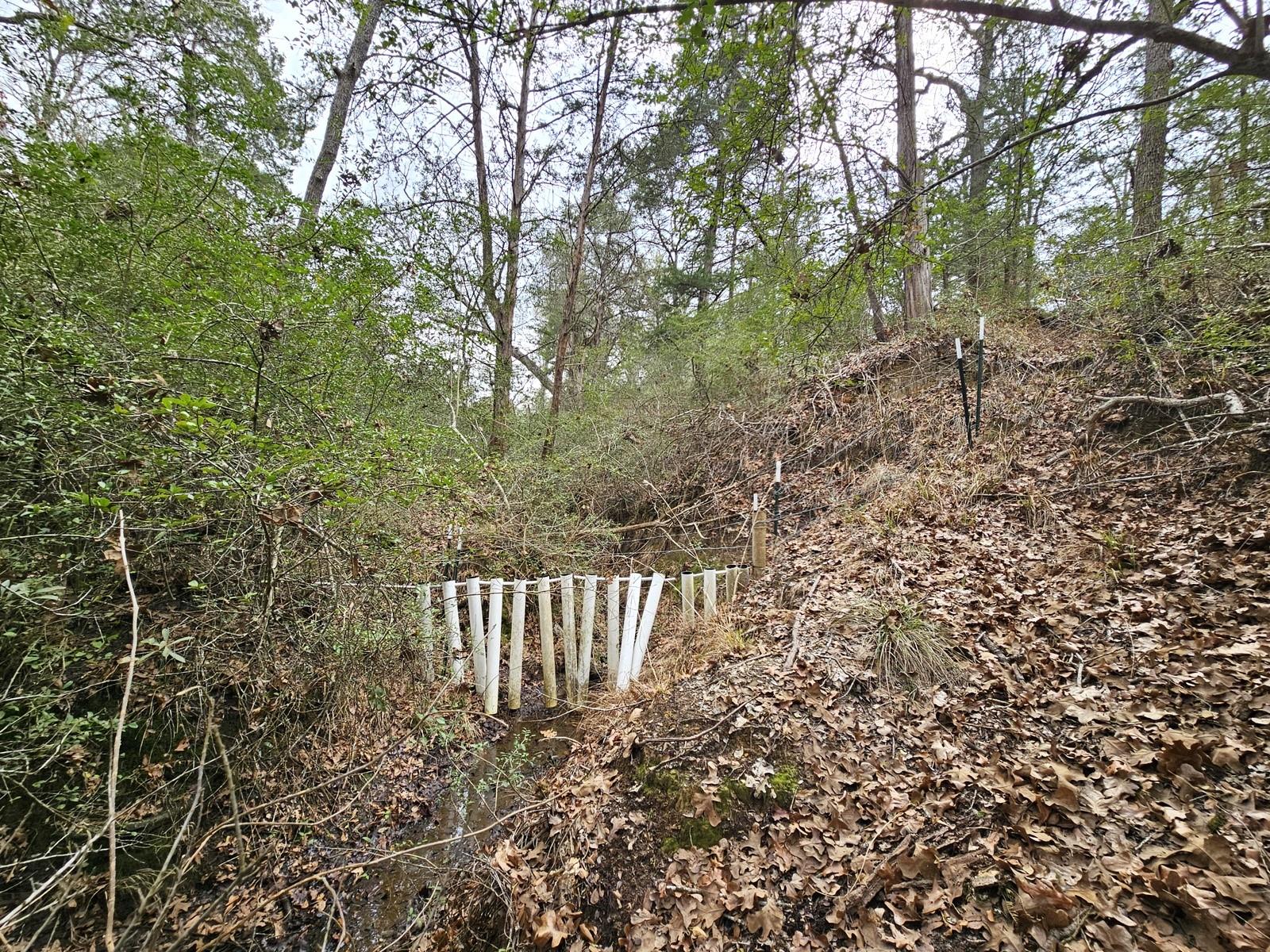 TBD Jackrabbit Lane Lane