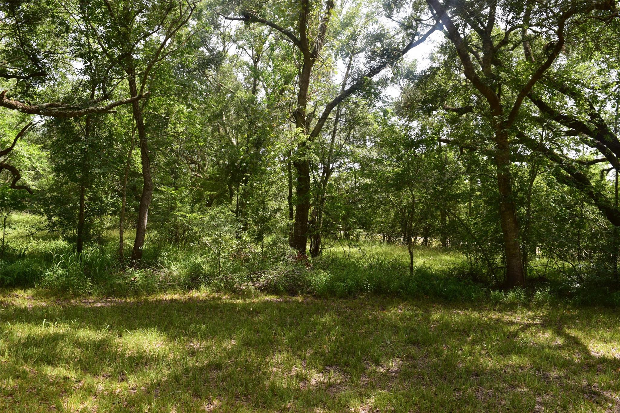 0 County Road 121