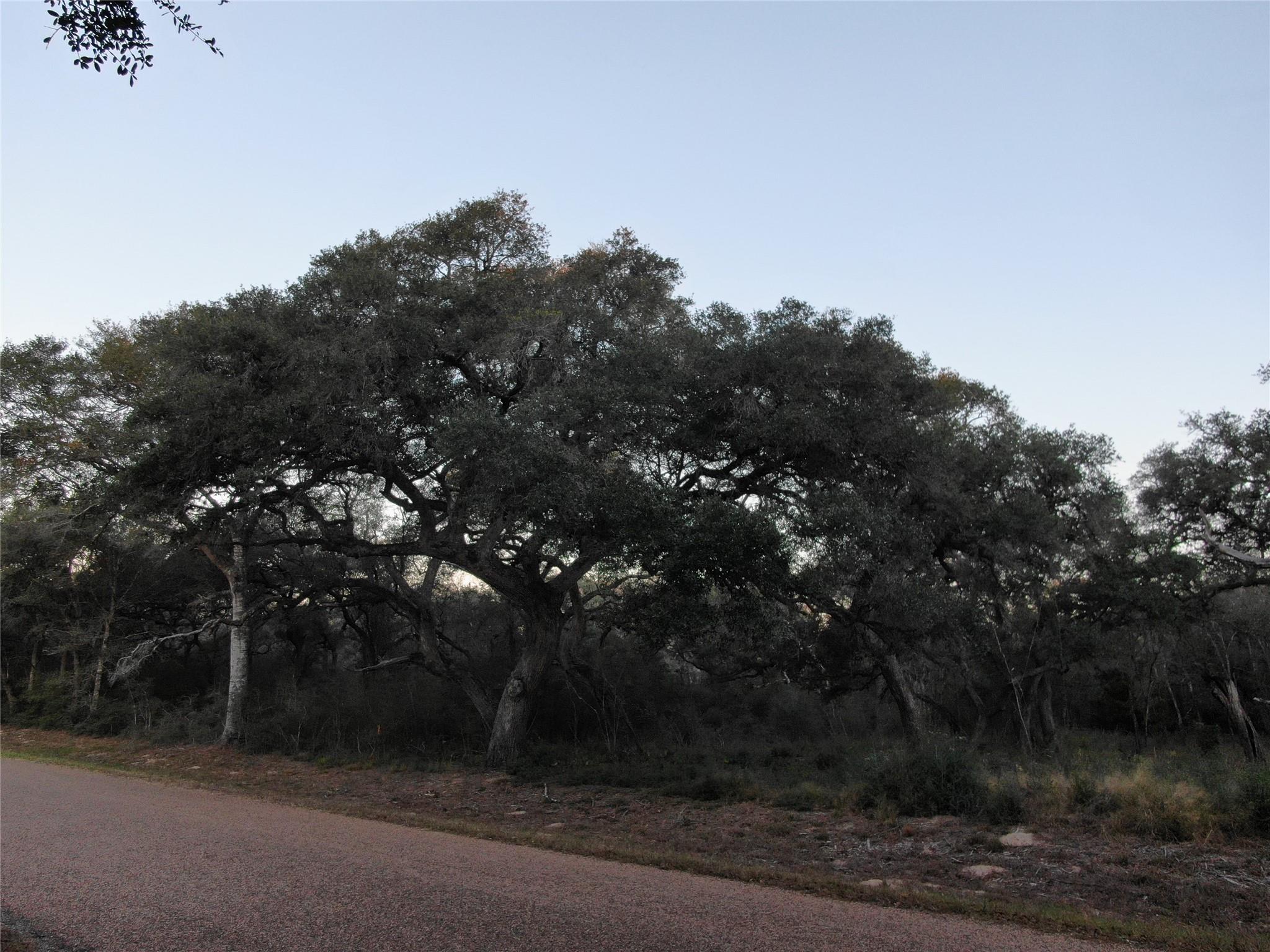 TBD Sandy Creek Drive