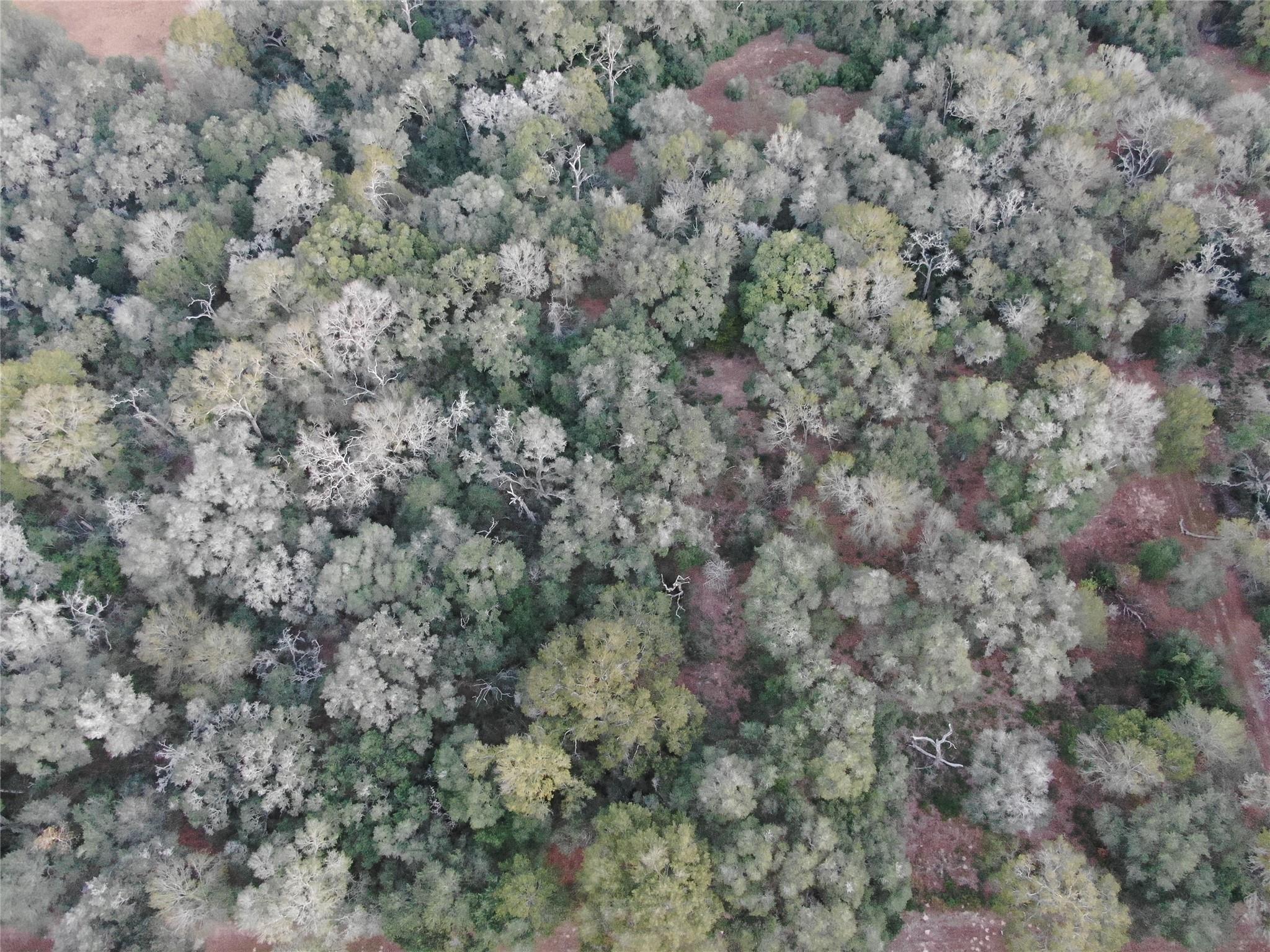 TBD Sandy Creek Drive