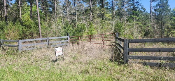668 WHEELER RD, CORRIGAN, TX 75939 - Image e63f2ff5b016d780c3d8fdf1d9c85e62/1900525222