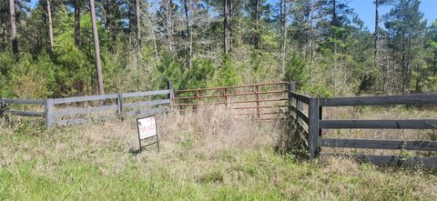 Vacant Land For Sale - 668 Wheeler Road<br/> Livingston, TX 77351