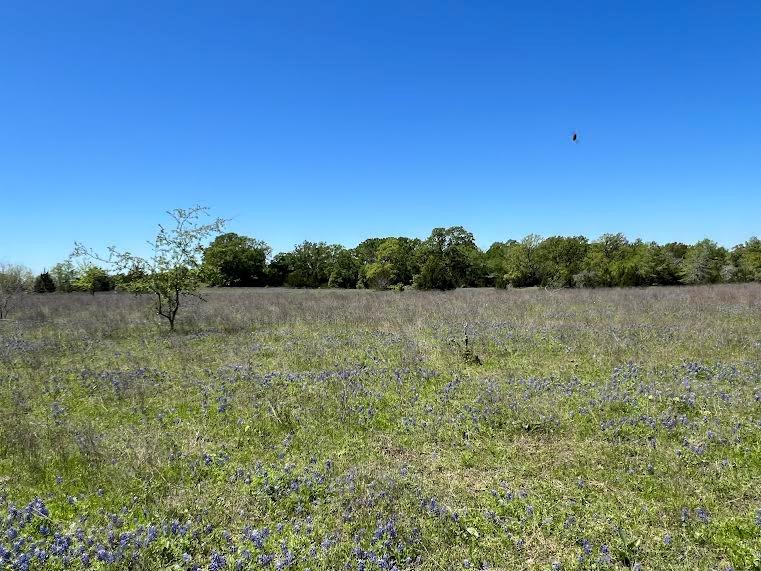 R13945 A0049J Peterson Tract 50 Acres