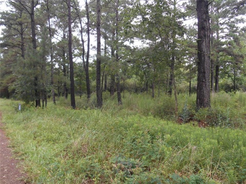 Photo of 0 Will Rogers Taxiway, Tomball, TX 77377 (MLS # 10882506)