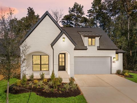 Photo of 564 Tawny Rim Drive, Willis, TX 77318 (MLS # 81347443)