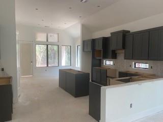 564 Tawny Rim Drive