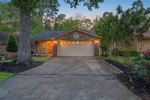 Photo of 169 April Wind Court, Montgomery, TX 77356 (MLS # 31536528)