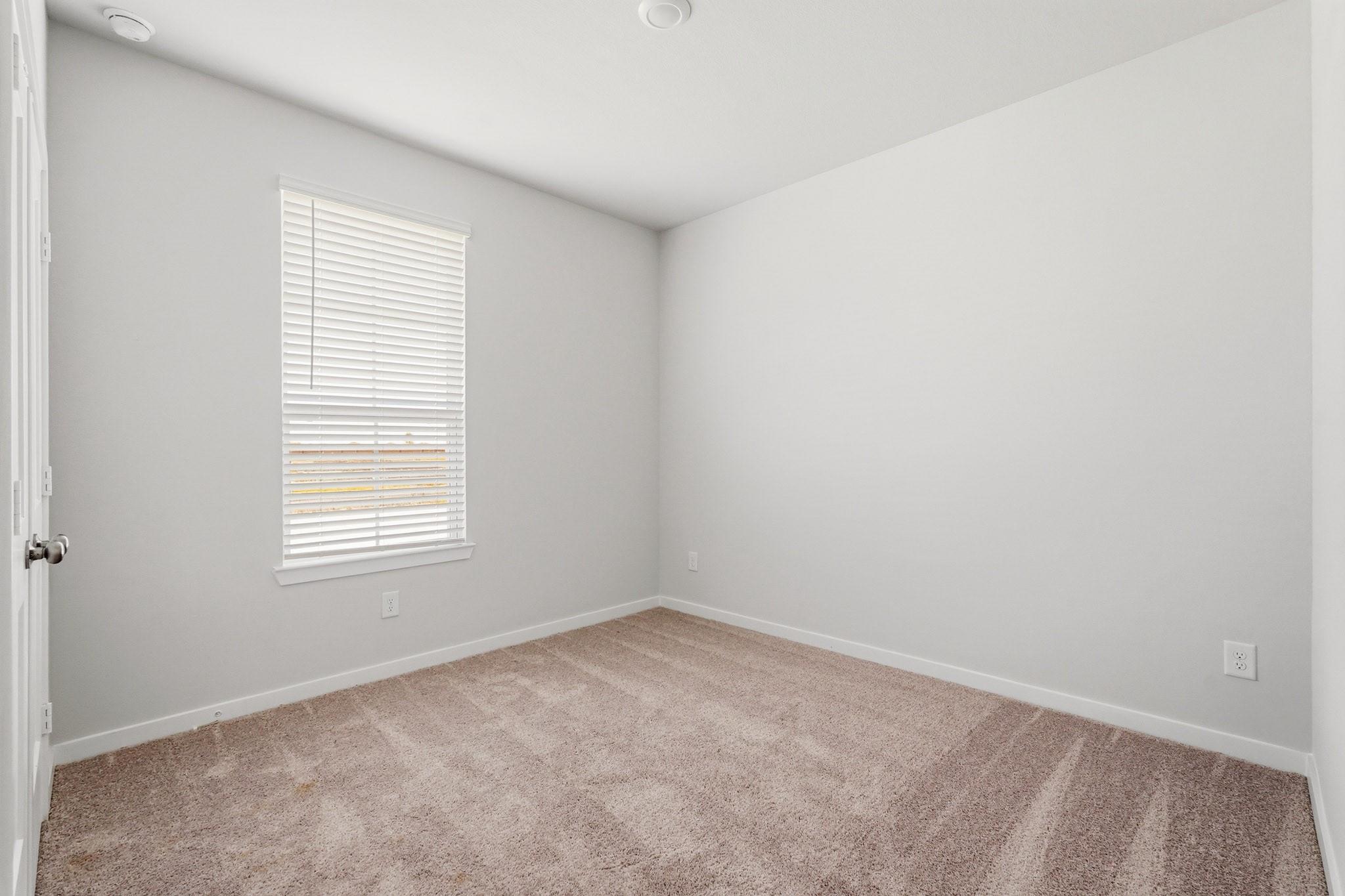 29010 Fig Vine Drive