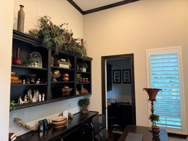 28443 Village Oaks Court
