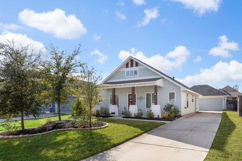 221 N Lynx Trail Montgomery TX 77316