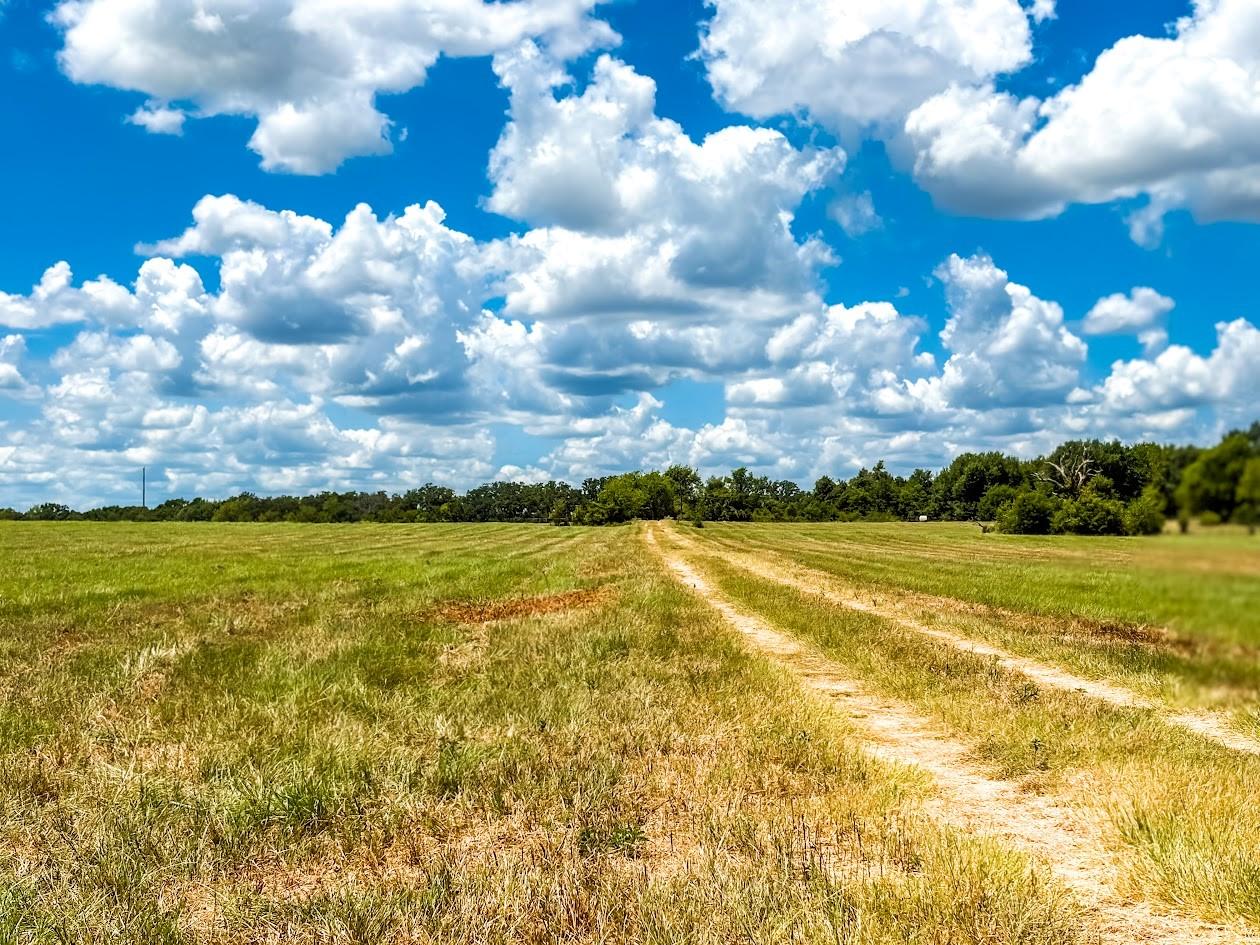 0000 County Road 520