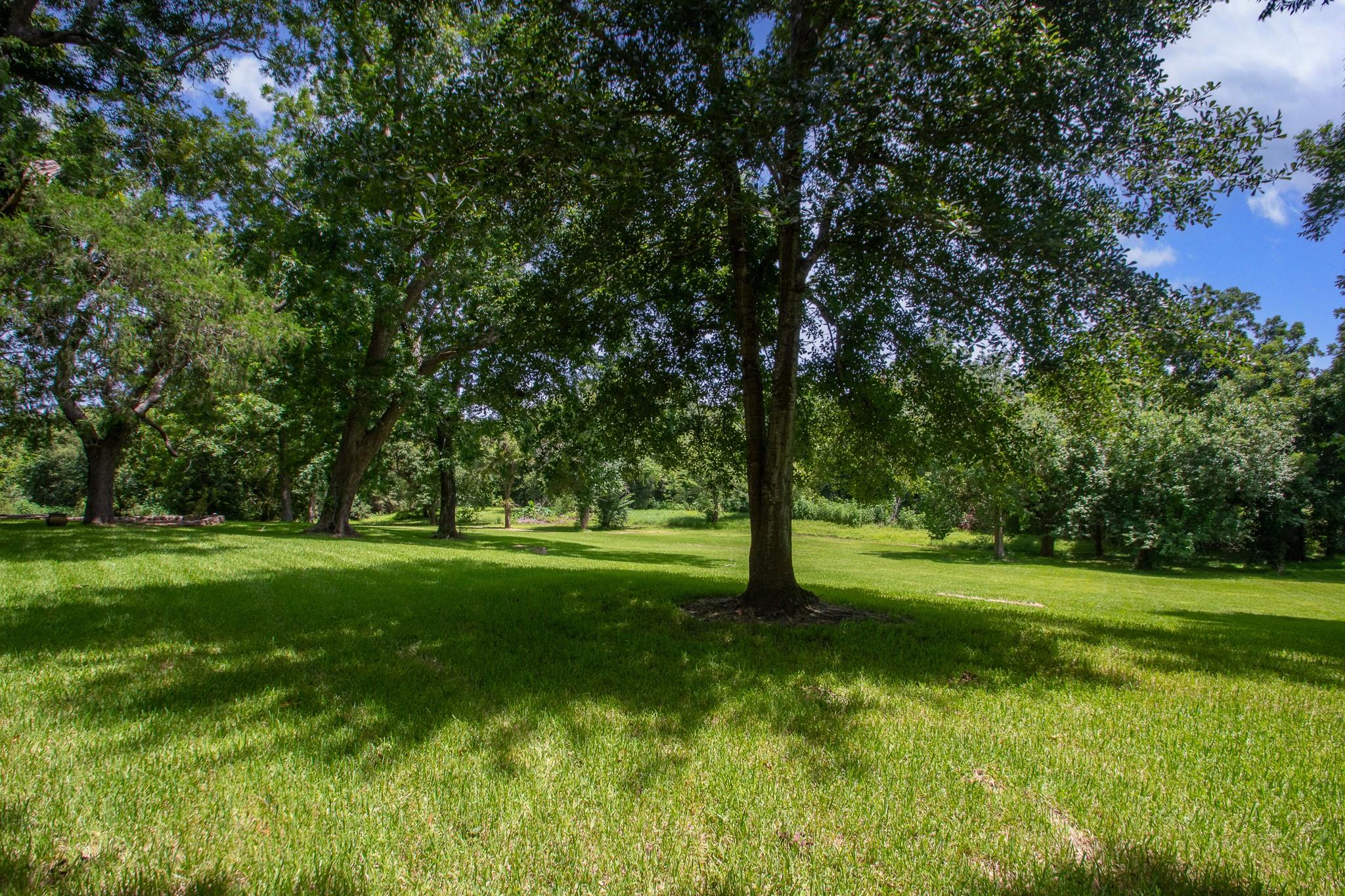 7807 N Fm 565 Road