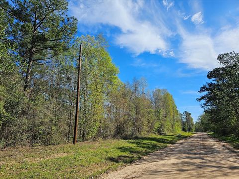 Photo of 0 Magnolia Woods Drive, Livingston, TX 77351 (MLS # 43948296)