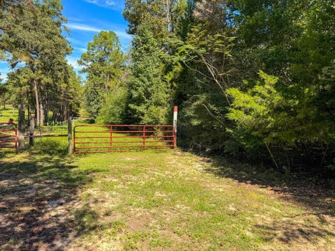 Photo of TBD County Road 4260, Woodville, TX 75979 (MLS # 6530656)