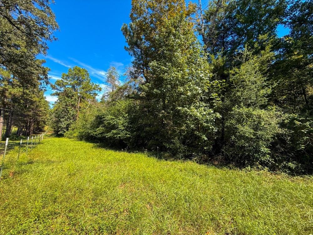 TBD County Road 4260