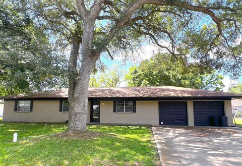 Photo of 131 Walker Avenue, Lolita, TX 77971 (MLS # 57231282)