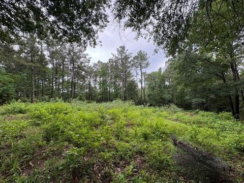 Photo of 268 Cedar Valley Road, Coldspring, TX 77331 (MLS # 44156232)