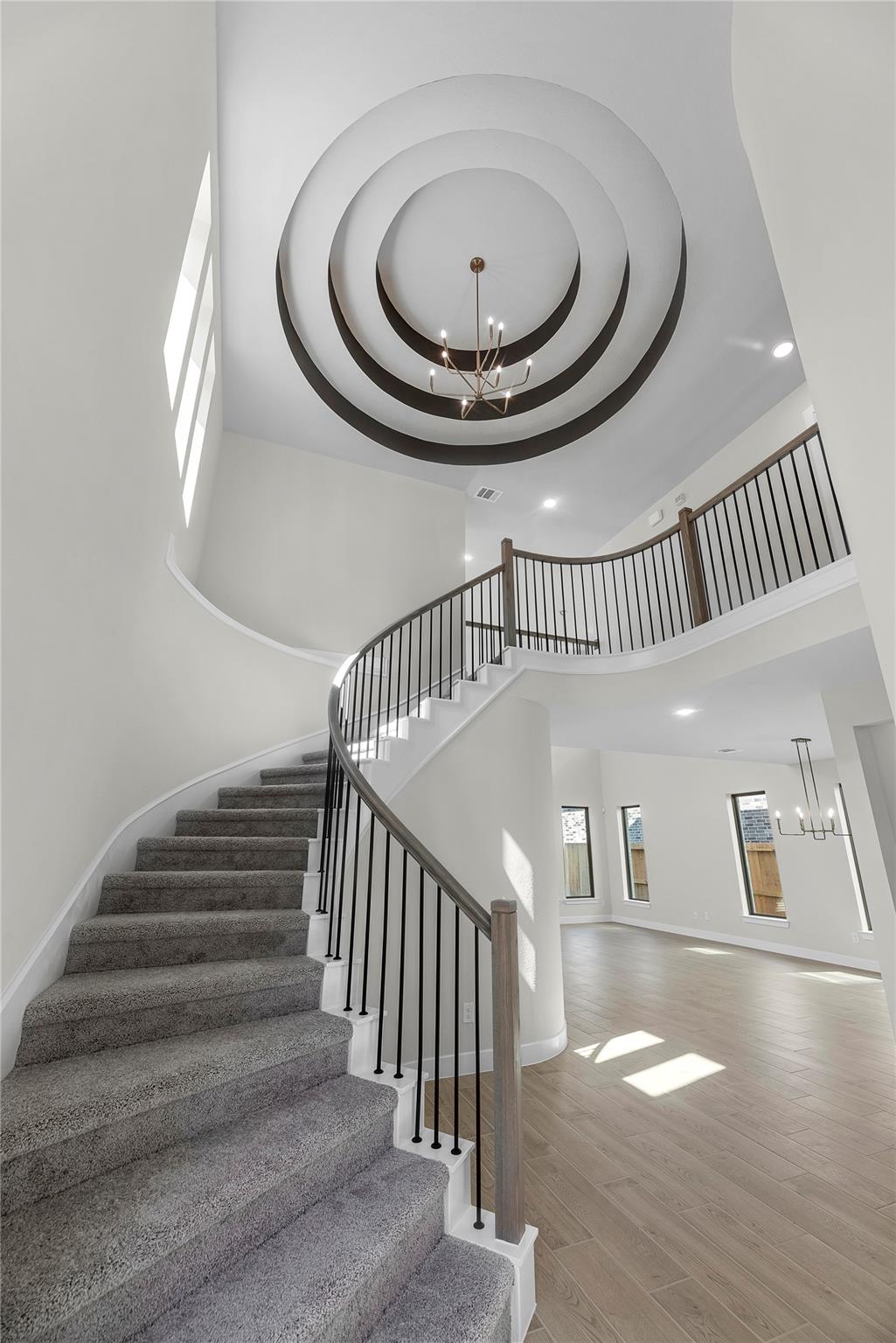 24934 Vervain Meadow Trail