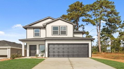 Photo of 13030 Sorrento Bay Drive, Willis, TX 77318 (MLS # 80870428)