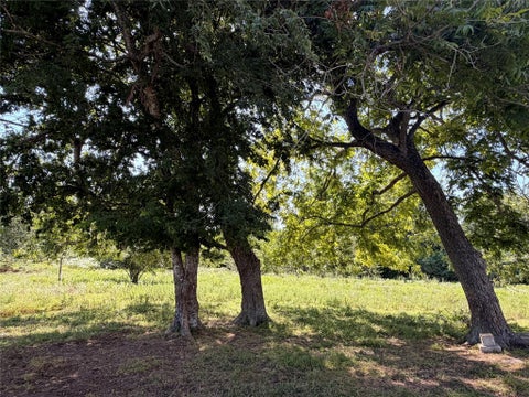 Photo of 17353 County Road 323, Navasota, TX 77868 (MLS # 60664774)