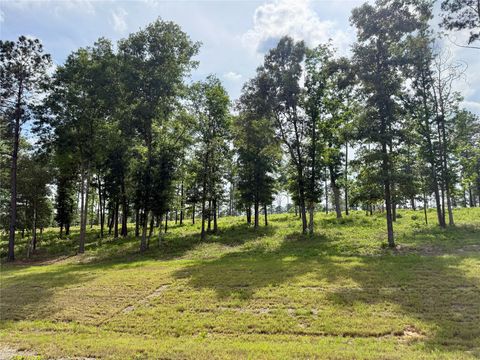 Photo of 72 Western Road, Livingston, TX 77351 (MLS # 56468288)