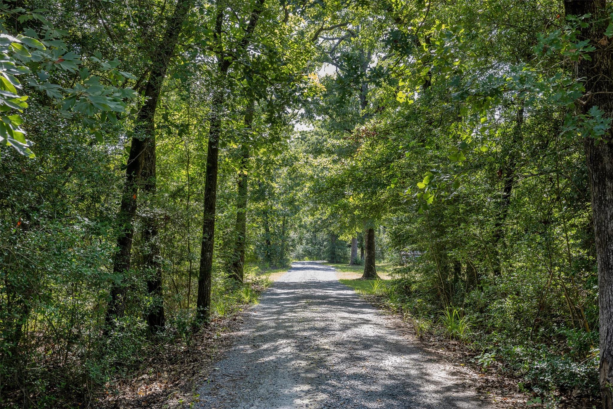 1496 County Road 318