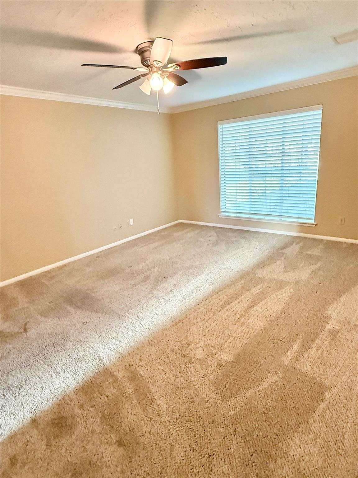 16711 Sir William Drive