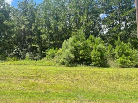 Photo of 717 Lonestar Road, Huntsville, TX 77340 (MLS # 23704237)