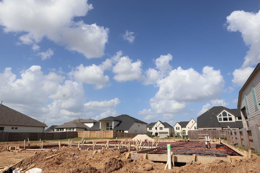16258 Blue Mistflower Lane