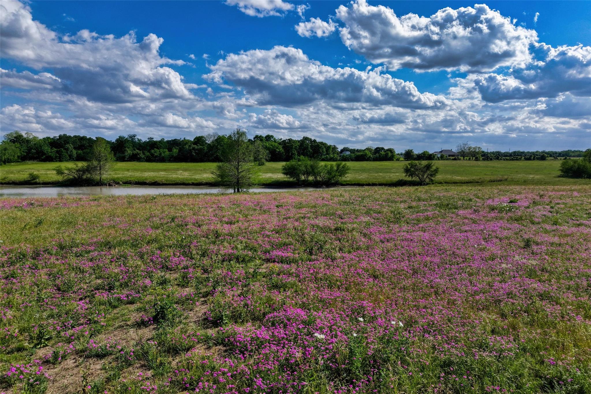 105 Brazos Hill Lane