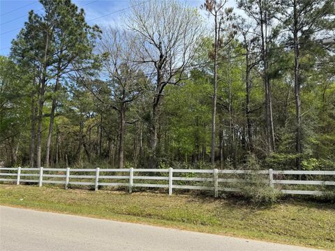 Photo of 33726 Thousand Oaks Boulevard, Magnolia, TX 77354 (MLS # 85801922)