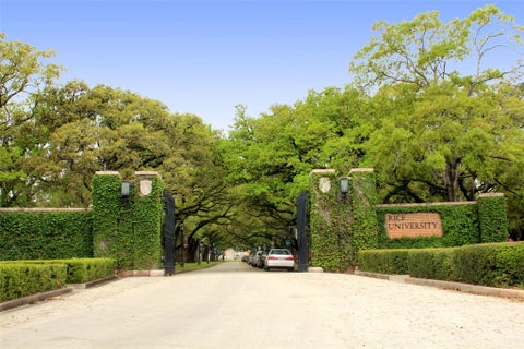 Tiny photo for 2911 University Boulevard, Houston, TX 77005 (MLS # 67567344)