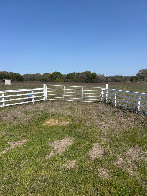 Photo of 23060 Mack Washington Lane, Hempstead, TX 77445 (MLS # 38611091)