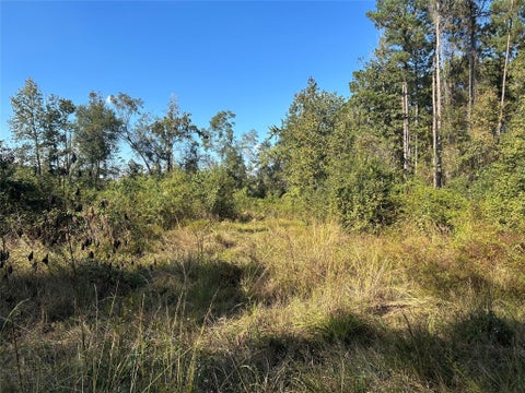 Vacant Land For Sale - LOT 16 County Road 2235<br/> Liberty County, Cleveland, TX 77328