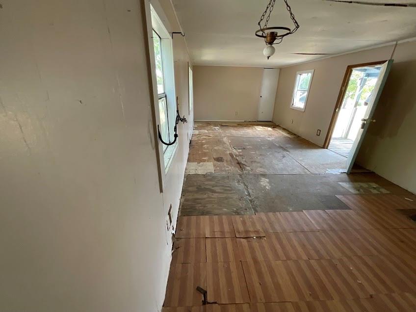 12 Dandelion Street